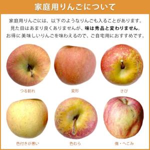 りんご シナノスイート 10kg 予約販売 2...の詳細画像2