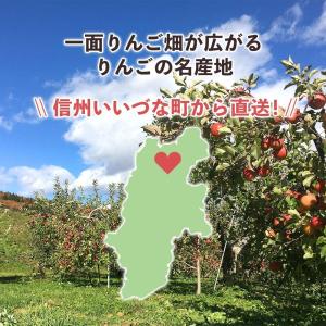 りんご シナノスイート 10kg 予約販売 2...の詳細画像4
