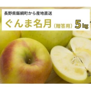 りんご ぐんま名月 5kg 贈答用 予約発送 11月上旬以降順次発送 長野県 飯綱町産 信州 5キロ ギフト 林檎 リンゴ