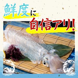 イカ 呼子のイカ 活き造り 3杯(1杯150g...の詳細画像2
