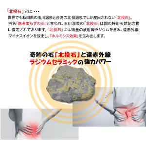 ラジ・パワーバンの詳細画像1