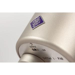 NEUMANN U47 FET Collect...の詳細画像5