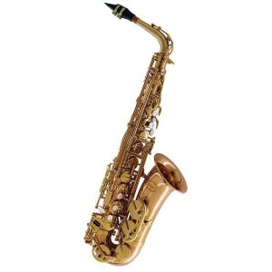 Cadeson カドソン アルトサックス A-92(F♯レスモデル) 中古 : 伊藤