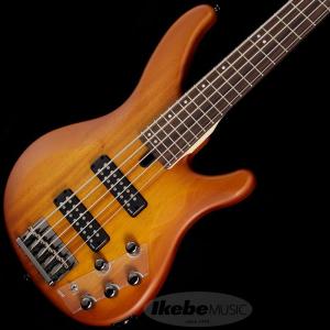 YAMAHA TRBX505 (BRB) [5弦モデル]