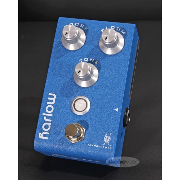 Bogner Harlow V2