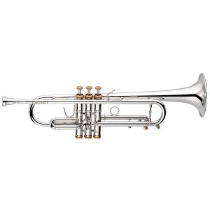 YAMAHA（ヤマハ） YAMAHA USED 中古 YTR-8335WGP #5393*4【Bb