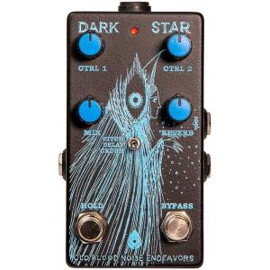 OLD BLOOD NOISE ENDEAVORS Dark Star [Pad Reverb]の商品画像