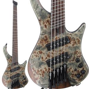 Ibanez Bass Workshop EHB1505MS-BIF [SPOT MODEL] - 最安値・価格比較