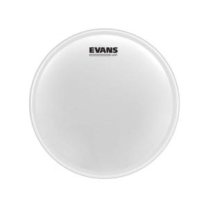 EVANS B16UV1