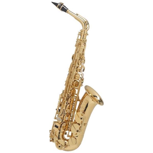 Selmer Paris 【旧定価品！】【崔勝貴氏選定品】アルトサックス セルマー AXOS（アクソ...