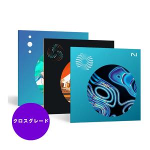 iZotope 【クロスグレード版】 Mix & Master Bundle Standard Crossgrade from any paid iZo product (オンライン納品)の商品画像