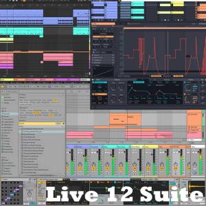 Ableton エイブルトン Live12 Suite アップグレード版 from Live Lite