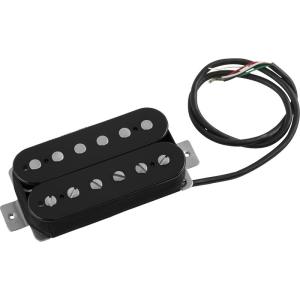 EVH Frankenstein Plus Pickup [0223757100]｜ikebe-revole