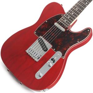 SCHECTER IKEBE ORDER Progauge Series PS-TE-IK (Red Tint/Rosewood) 【特価】｜ikebe-revole