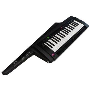 KORG RK-100S 2 BK(ブラック)(KEYTAR) (展示品アウトレット)｜ikebe-revole