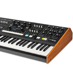 moog Muse (ミューズ)8ボイス・アナ...の詳細画像2