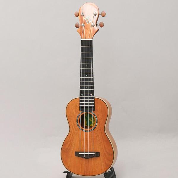 BIG ISLAND KM-SPG ビッグアイランド