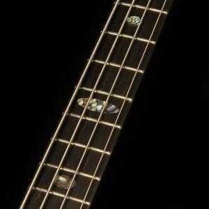 ALEMBIC SSB / Series II...の詳細画像5
