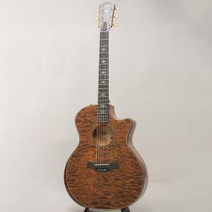 TAYLOR Custom GAce Hand...の詳細画像2