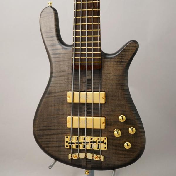 Warwick Custom Shop Streamer Stage I 5st (Nirvana ...