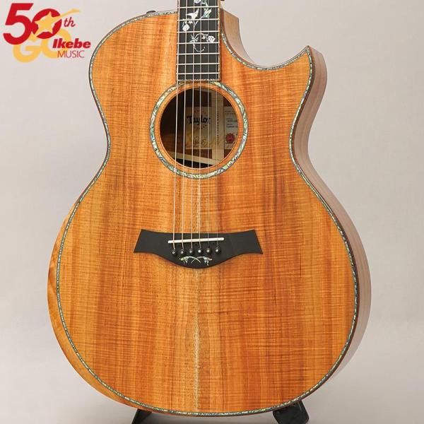 TAYLOR Custom GAce Andy Powers Select All Master H...