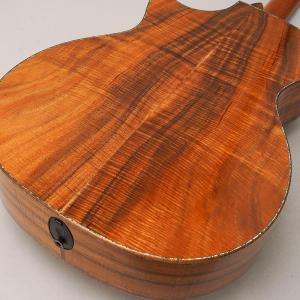 TAYLOR Custom GAce Andy...の詳細画像5