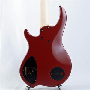 DINGWALL NG-3 5st Adam ...の詳細画像4