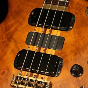 ALEMBIC USED 中古 Series ...の詳細画像2