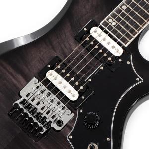 Gibson Victory Floyd Ro...の詳細画像3
