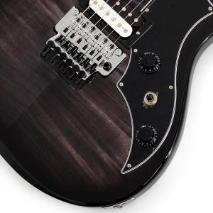 Gibson Victory Floyd Ro...の詳細画像4