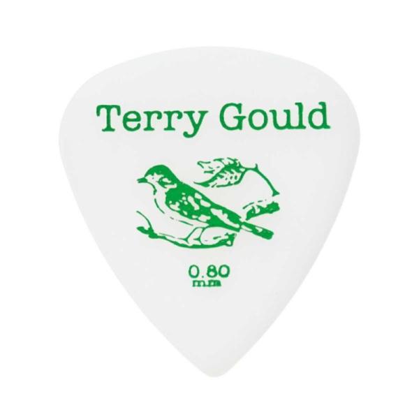 PICK BOY Terry Gould GUITAR PICK (WHITE/ティアドロップ型) ...
