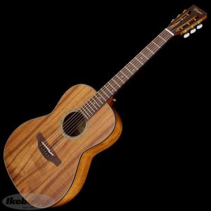 TAKAMINE PTU431K N 【お取り寄せ商品】｜ikebe