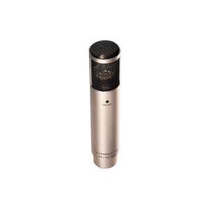 SENNHEISER MKH 800 TWIN Ni 【お取り寄せ商品】｜ikebe