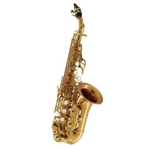 SELMER（セルマー） Selmer Paris テナーサックス用ネック SERIE III