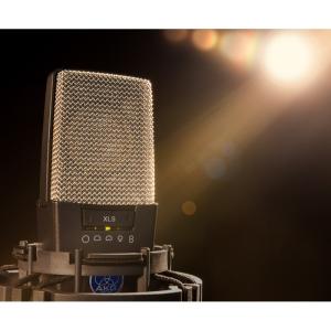 AKG C414XLS/ST【ステレオペア】【...の詳細画像2