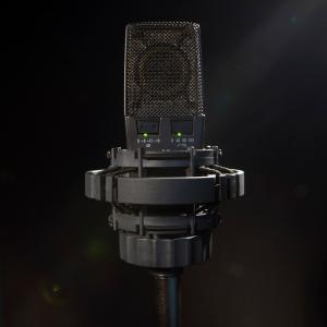 AKG C414XLS/ST【ステレオペア】【...の詳細画像3