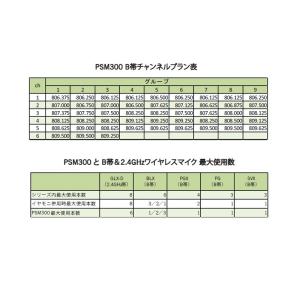 SHURE P3R-JB PSM300 BOD...の詳細画像3