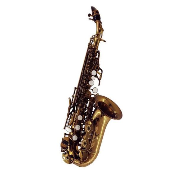 Chateau 【お取り寄せ品】ソプラノサックス シャトー CSS-CH92DL 【調整&amp;セットアッ...