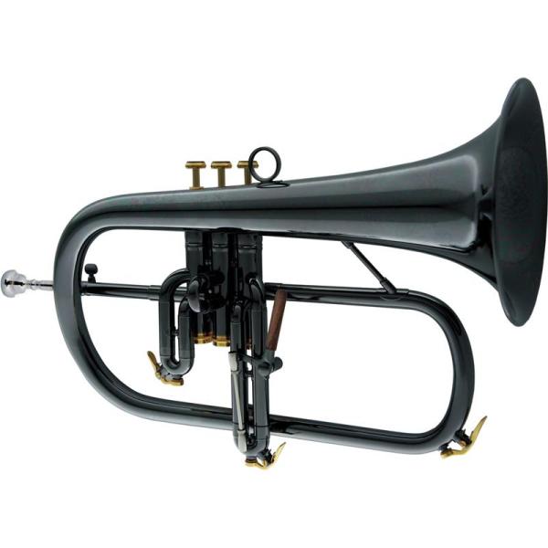 CAROL BRASS キャロルブラス / N6200 BLK NP GB 【Bb フリューゲル ホ...