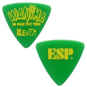 ESP Artist Pick Series WANIMA KENTA PICK [PA-WK10-2（GR）]｜ikebe