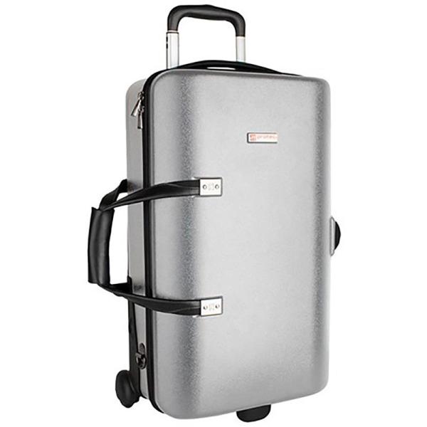 PROTEC プロテック / BLT-301TSX (シルバー) トランペット用　トリプル ハード ...