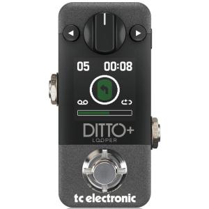 tc electronic DITTO+ ※国内正規品｜ikebe