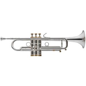 VOCU ( ヴォーキュ ) Magic BLEND Room Spec.B : 御茶ノ水楽器センター