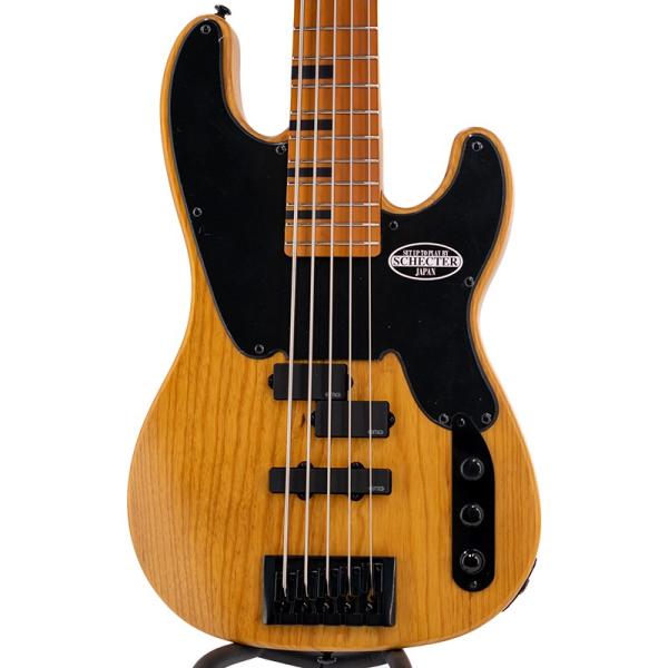 SCHECTER MODEL-T SESSION 5 [AD-MT-SS-5] (ANS)