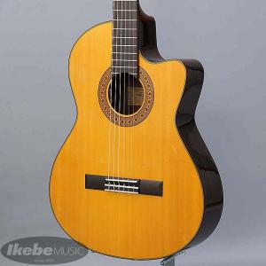 K.Yairi Electric Acoustic Series YD-88BK : ロッキンダディ - 通販