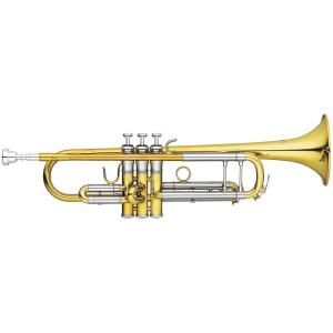 Marcinkiewicz マーシンキウィッツ / アーティスト モデル E12.4