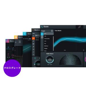 iZotope Mix & Master Bundle Advanced from Any Advanced Produc