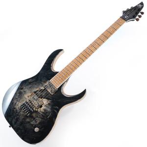 MAYONES 40th Anniversar...の詳細画像1