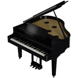 Roland GP-9M-PES(10年保証)...の詳細画像2