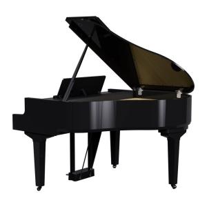 Roland GP-9M-PES(10年保証)...の詳細画像3